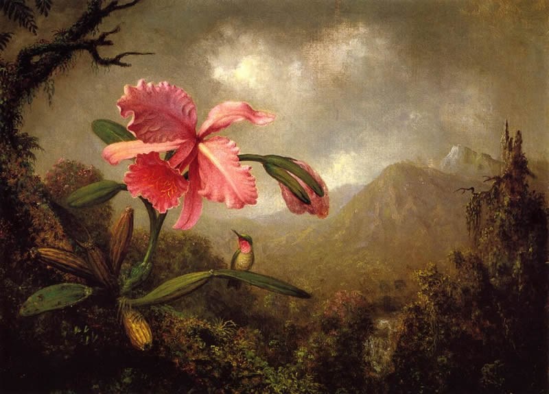 Martin Johnson Heade Orchid and Hummingbird near a Mountain Waterfall